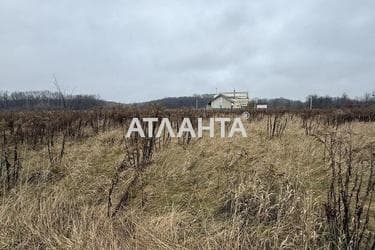 Landplot by the address (area 10 acr) - Atlanta.ua - photo 8