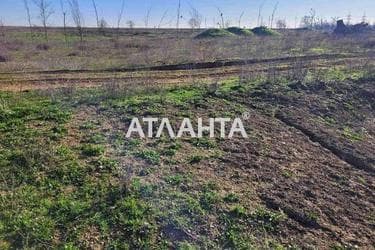 Участок (площадь 85 сот) - Atlanta.ua - фото 20