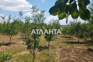 Ділянка за адресою (площа 6 сот) - Atlanta.ua - фото 18