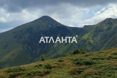 Участок по адресу (площадь 70 сот) - Atlanta.ua - фото 7