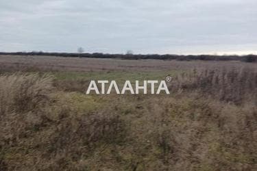 Участок по адресу ул. Главная (площадь 5 сот) - Atlanta.ua - фото 9