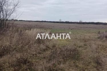 Участок по адресу ул. Главная (площадь 5 сот) - Atlanta.ua - фото 10