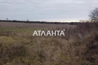 Участок по адресу ул. Главная (площадь 5 сот) - Atlanta.ua - фото 11