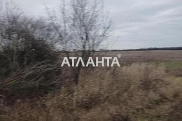 Участок по адресу ул. Главная (площадь 5 сот) - Atlanta.ua - фото 12