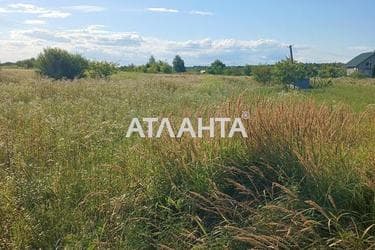 Участок по адресу (площадь 300 сот) - Atlanta.ua - фото 9