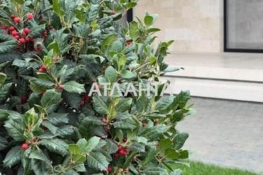 Будинок за адресою вул. Бризова (площа 185 м²) - Atlanta.ua - фото 90