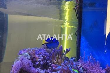 1-кімнатна квартира за адресою Фонтанська дор. (площа 70 м²) - Atlanta.ua - фото 34