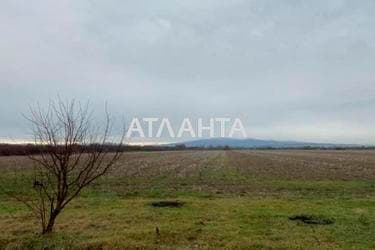 Landplot by the address (area 210 acr) - Atlanta.ua - фото 9