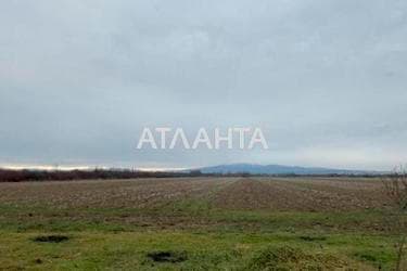 Landplot by the address (area 210 acr) - Atlanta.ua - фото 10