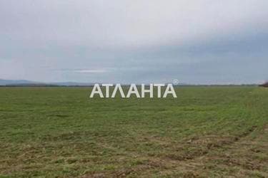 Landplot by the address (area 210 acr) - Atlanta.ua - фото 11