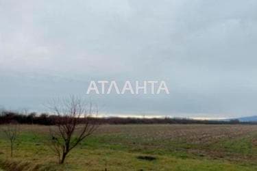 Landplot by the address (area 210 acr) - Atlanta.ua - фото 12