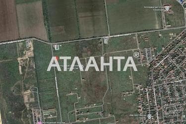 Ділянка за адресою вул. Масив №20 (площа 74,5 сот) - Atlanta.ua - фото 6