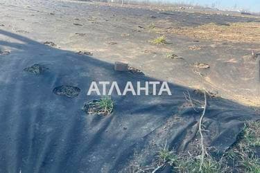 Участок (площадь 9,8 сот) - Atlanta.ua - фото 10