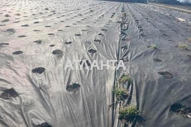 Участок (площадь 9,8 сот) - Atlanta.ua - фото 6
