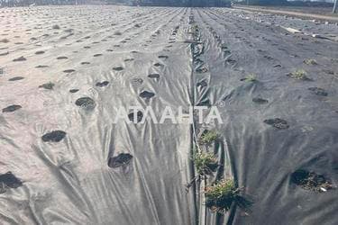 Участок (площадь 9,8 сот) - Atlanta.ua - фото 8