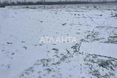 Участок (площадь 9 сот) - Atlanta.ua - фото 10