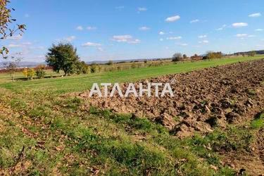 Ділянка за адресою вул. Колоскова (площа 0) - Atlanta.ua - фото 9