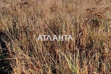Ділянка за адресою (площа 30 сот) - Atlanta.ua - фото 10