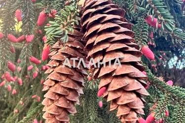 Дом по адресу ул. Кошевого Олега (площадь 190,2 м²) - Atlanta.ua - imageAlt 91