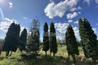 Будинок за адресою вул. Новокиївська (площа 122 м²) - Atlanta.ua - фото 94