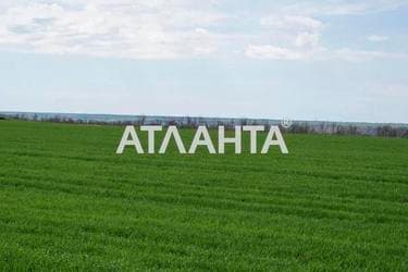 Участок (площадь 415 сот) - Atlanta.ua - imageAlt 22