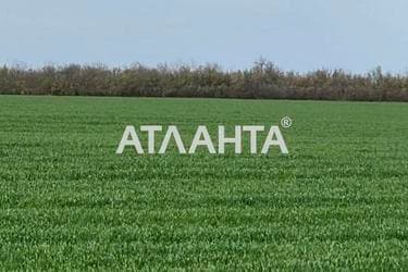 Участок (площадь 415 сот) - Atlanta.ua - imageAlt 24