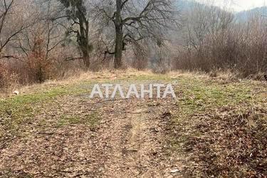 Участок по адресу (площадь 30 сот) - Atlanta.ua - фото 19