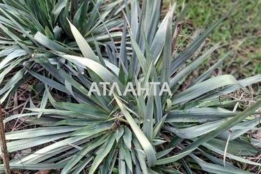 Дом по адресу (площадь 107,9 м²) - Atlanta.ua - фото 24