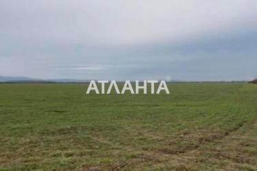 Участок по адресу (площадь 240 сот) - Atlanta.ua - фото 8