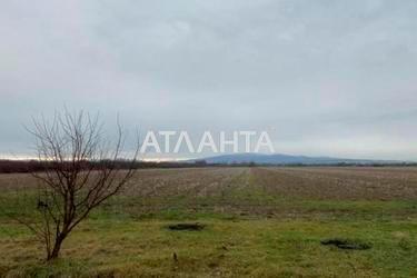 Участок по адресу (площадь 240 сот) - Atlanta.ua - фото 10