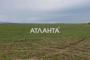 Участок по адресу (площадь 240 сот) - Atlanta.ua - фото 11