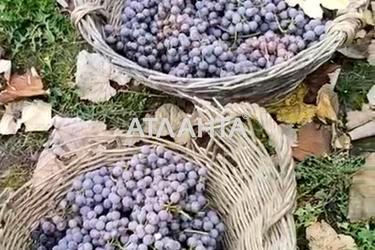 Дом по адресу ул. Церковная (площадь 200 м²) - Atlanta.ua - фото 34