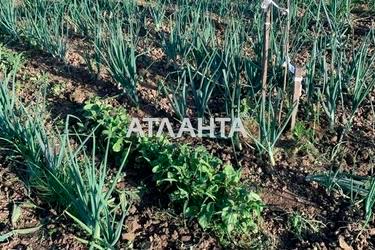 Дом по адресу ул. Церковная (площадь 200 м²) - Atlanta.ua - фото 52