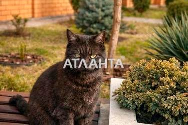 1-room apartment apartment by the address st. Sofievskaya (area 44 m²) - Atlanta.ua - imageAlt 40