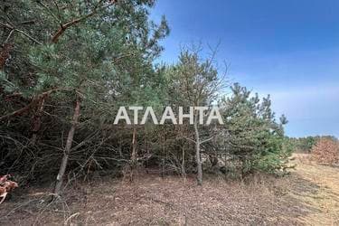 Участок по адресу ул. Солнечная (площадь 78 сот) - Atlanta.ua - фото 12
