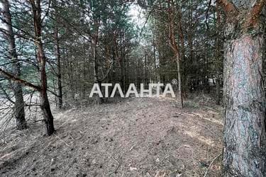 Участок по адресу ул. Солнечная (площадь 78 сот) - Atlanta.ua - фото 13