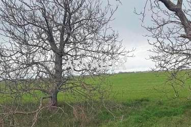 Коммерческая недвижимость по адресу ул. Массив №13 (площадь 0) - Atlanta.ua - imageAlt 7