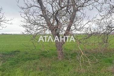 Коммерческая недвижимость по адресу ул. Массив №13 (площадь 0) - Atlanta.ua - imageAlt 8