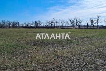 Ділянка за адресою вул. Тичини Павла (площа 8,0 сот) - Atlanta.ua - фото 13