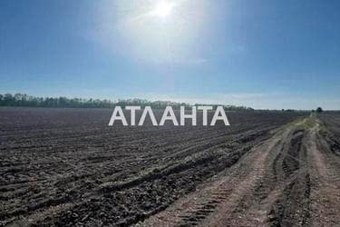 Участок по адресу (площадь 220 сот) - Atlanta.ua - фото 9