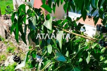 Дача по адресу ул. Железнодорожная (площадь 55 м²) - Atlanta.ua - фото 27