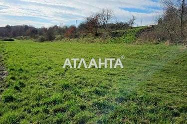 Участок по адресу ул. Центральная (площадь 41 сот) - Atlanta.ua - фото 8