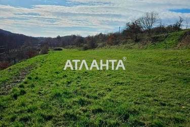 Участок по адресу ул. Центральная (площадь 41 сот) - Atlanta.ua - фото 9