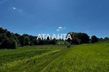 Участок по адресу ул. Центральная (площадь 41 сот) - Atlanta.ua - фото 10