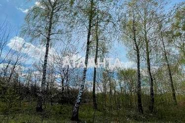 Участок по адресу (площадь 10 сот) - Atlanta.ua - imageAlt 10