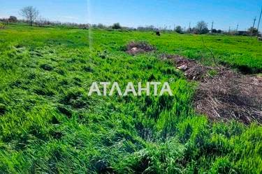 Участок (площадь 42 сот) - Atlanta.ua - фото 12