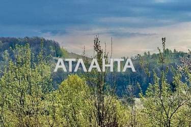 Участок по адресу ул. Центральная (площадь 21 сот) - Atlanta.ua - фото 17