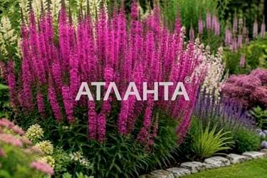Дом по адресу ул. Каманина (площадь 58 м²) - Atlanta.ua - imageAlt 17