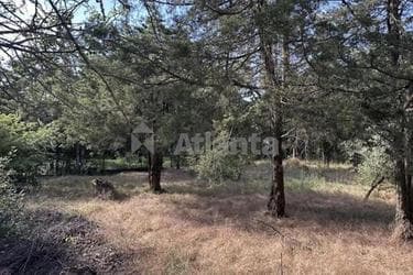 Участок по адресу ул. Парковая (площадь 11,2 сот) - Atlanta.ua - imageAlt 24