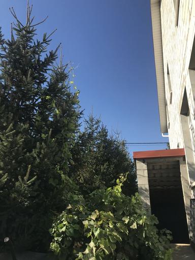 House by the address (area 248 m²) - Atlanta.ua - photo 28